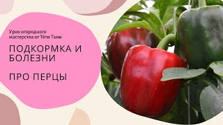 551. Перцы сладкие   чем лечить и кормить сейчас, что убрать на стебле.