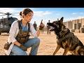 No Handler Could Control This K9—Until a SEAL Nurse Whispered the Old Command