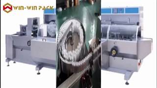 Famous WIN-WIN PACK Automatic high speed cartoning machine Wealth