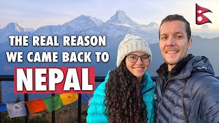 TREKKING THE HIMALAYAS!🇳🇵 POON HILL (ANNAPURNA BASE CAMP: PART 1)