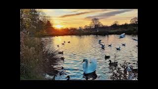 Joer Van Ray - Hello Sunrise (Plutian Remix)