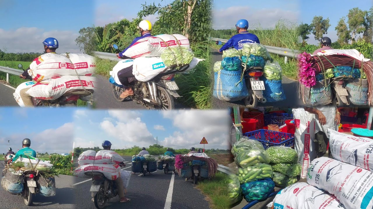 Đồng Hành Cùng Anh Em Chở Rau Củ Quả Xuống Lễ Ông Nguyễn Ở Rạch Giá ...
