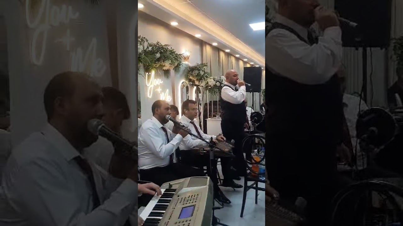 الفنان محمد مبيض أفراح آل السيد ولاية جيهان 