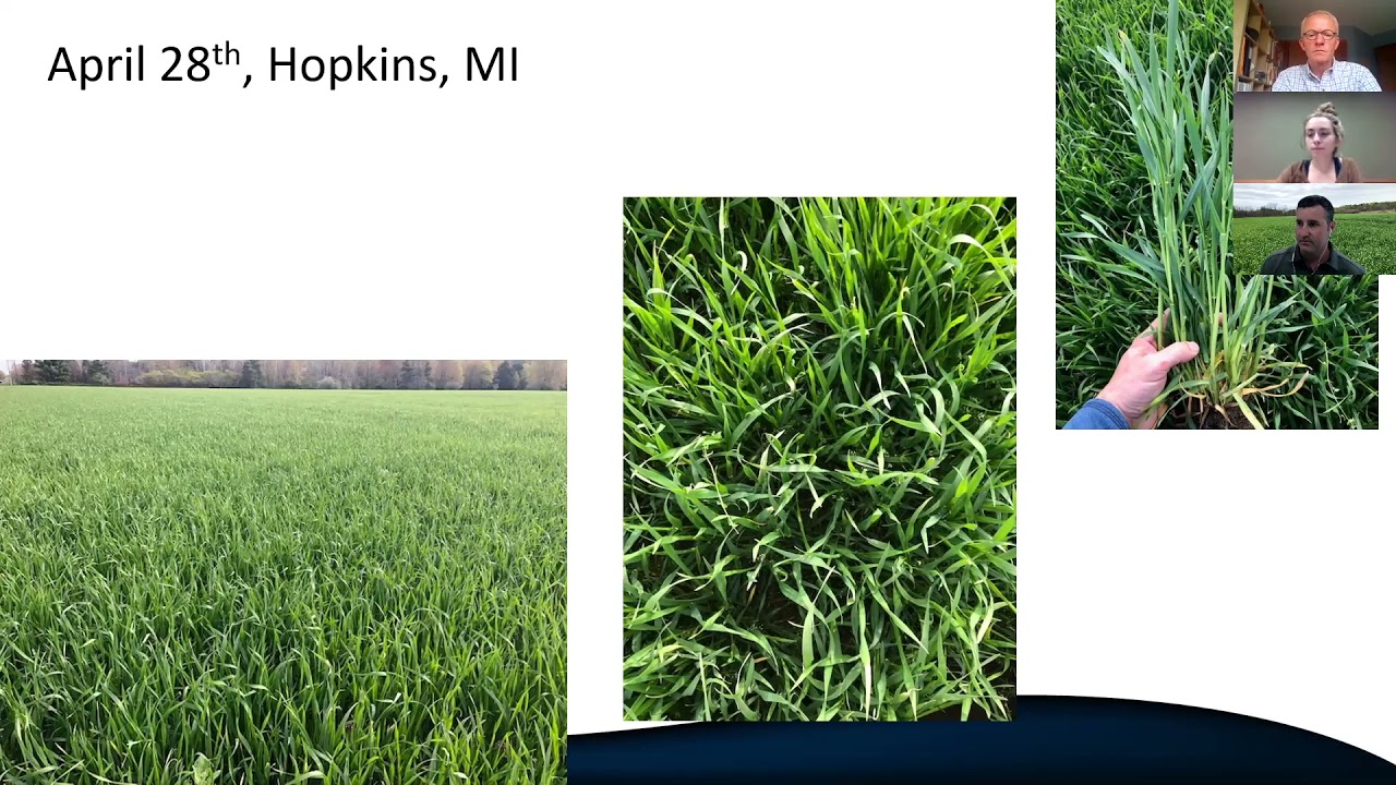 Why Double Crop Annual Forages