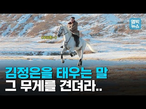 백마 <strong>타고</strong> 백두산, 지팡이 짚고 금강산 오른 북한 <strong>김정은</strong> 국무위원장의 이유