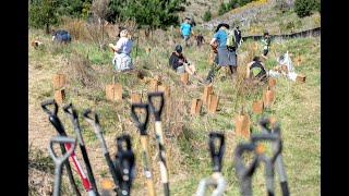 Our Tūī Corridor has officially begun!