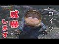 【ワイルズ】ゼレドロンの驚くべき弱さについて【4K映像】