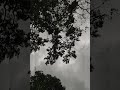 #trendingshorts #viralvideo This is video viral 🍃🌧️💨🌪️