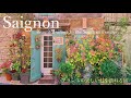 Saignon 〜Beau village de France en automne〜 Luberon / Provence / Vaucluse / chat / automne /
