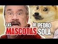 ¿Pedro Sola y su mascota?