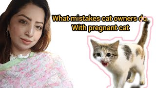 What mistakes cat owners do with their pregnant cats