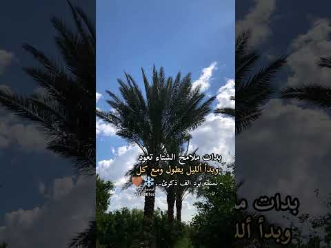 بدات ملامح الشتاء تعود