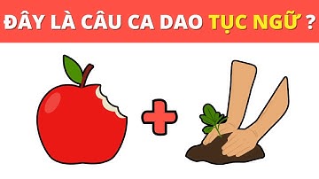 Thử thách Đoán câu ca dao tục ngữ Việt Nam | Câu đố đây