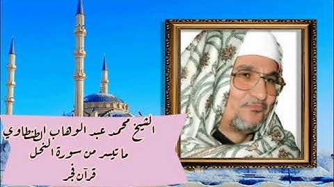 الشيخ محمد عبدالوهاب الطنطاوي ما تيسر من سورة النحل