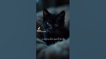 استمع القرآن الكريم #comedianmahmoudagamey #محمودعجمي #المصحف #لايك #المصحف