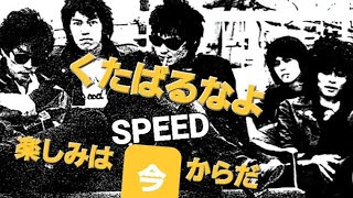 ♥️　SPEED　1979/◯/◯　六本木 ◯◯スタジオ　ROCKERS(Movie)　東京ROCKERS　Boys I love you