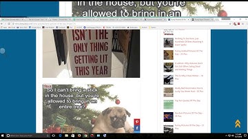 Windows 10 Ease of Access