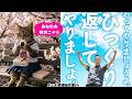 【山本太郎】『日本中に届けたい』何度でもあなたに贈る、優しい世界へひっくり返す5分間🌸
