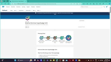 External Services Superbadge Unit