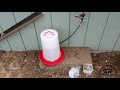 Freeze Free Chicken Waterer