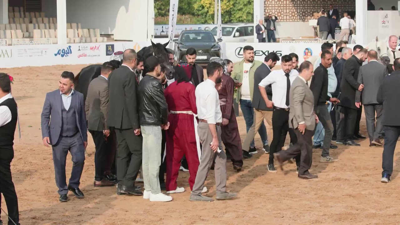 Live streaming di Arabian Essence TV - AH Shows 2