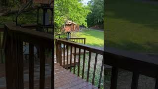 Black Bear Passes by a Cabin