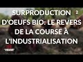 Complément d&#39;enquête. Grandes surfaces: main basse sur le bio ! / Extrait 3