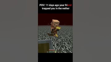 POV : your friend trapped you in the nether  #minecraft #newtrend #trend