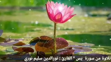 القران الكريم بصوت القارئ الشيخ نورالدين سليم بلصوت العراقي سورة ياسين