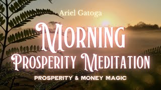 Meditation: Morning Prosperity Meditation--PMM