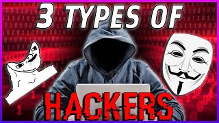 3 TYPES OF HACKERS (Edgy Warning)
