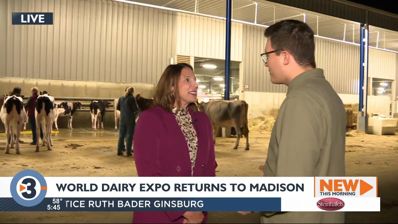 56th World Dairy Expo returns to Madison YouTube