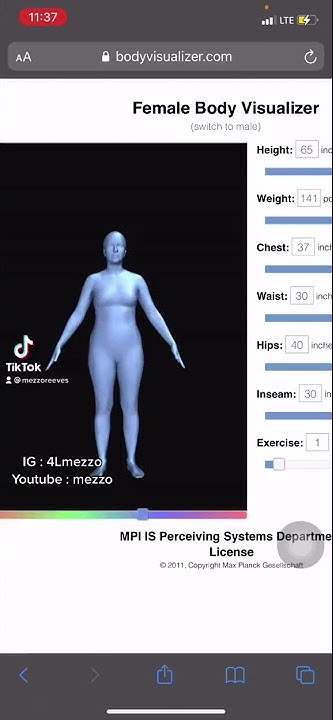 mezzowrld body visualizer meme 4 YouTube