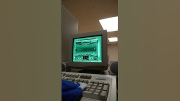 Windows 95 Hover the video game on a Green CRT monochrome monitor in the BACKROOMS