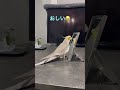 久しぶりのジャパネット♪♪