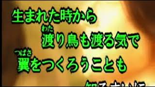 NGUOI TINH MUA DONG - KARAOKE - JAPAN