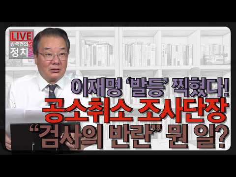 공소취소 조사단장 “검사의 <strong>반란</strong>” 뭔 일?