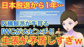 国際捕鯨委員会 Youtube