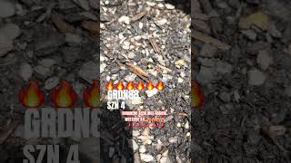 FYA BURN!!!! #subscribe #garden #upcomingmusician #shorts #newmusic #indie #summer #design #hiphop