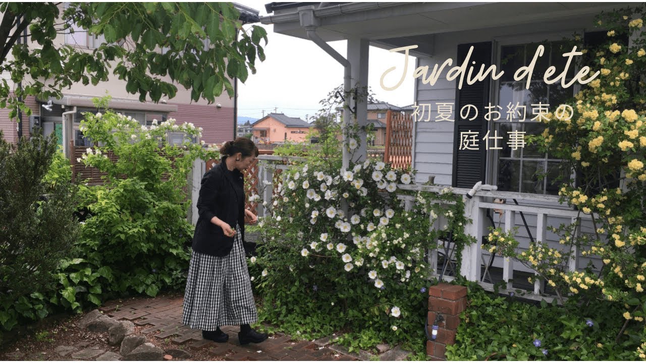暮らしのvlog｜初夏のお庭｜ひたすら蔦を切る｜海の見えるカフェに