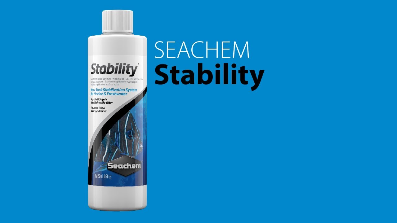seachem stability petsmart