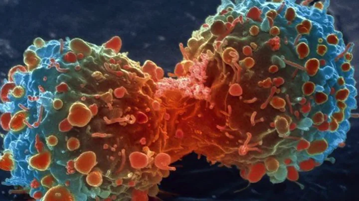 Ocular Immune Privilege