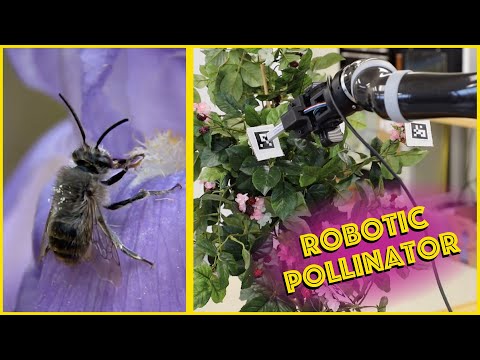 Is Synthetic Pollination A Solution To Bees Dying