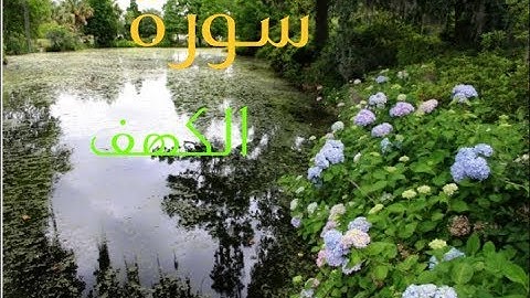 سورة الكهف تلاوة خاشعة تلين القلوب القاسية