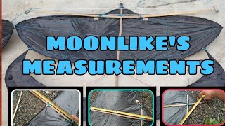 Moonlike Puwit Buwan Measurements As Requested