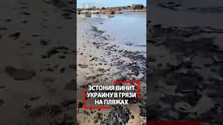 Эстония винит Украину за удары ВСУ по России! Пляжи в мазуте! Что случилось?