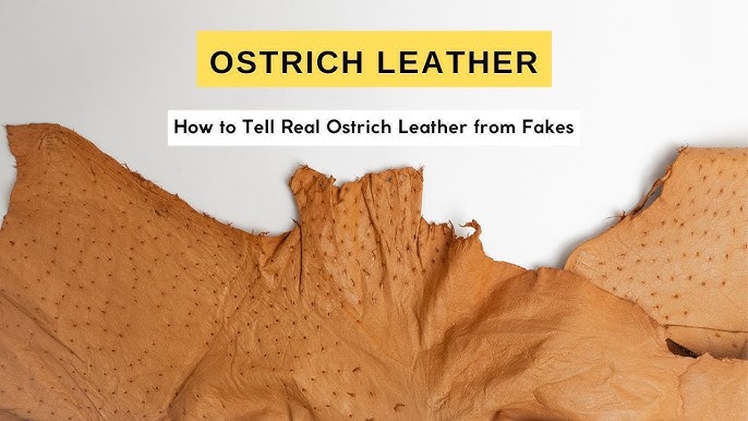 How to Clean Patent Leather, According to TikTok's Tanner Leatherstein