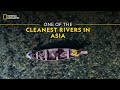 One of the cleanest rivers in asia  it happens only in india  national geographic