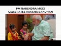 PM Narendra Modi Celebrates Raksha Bandhan | PMO