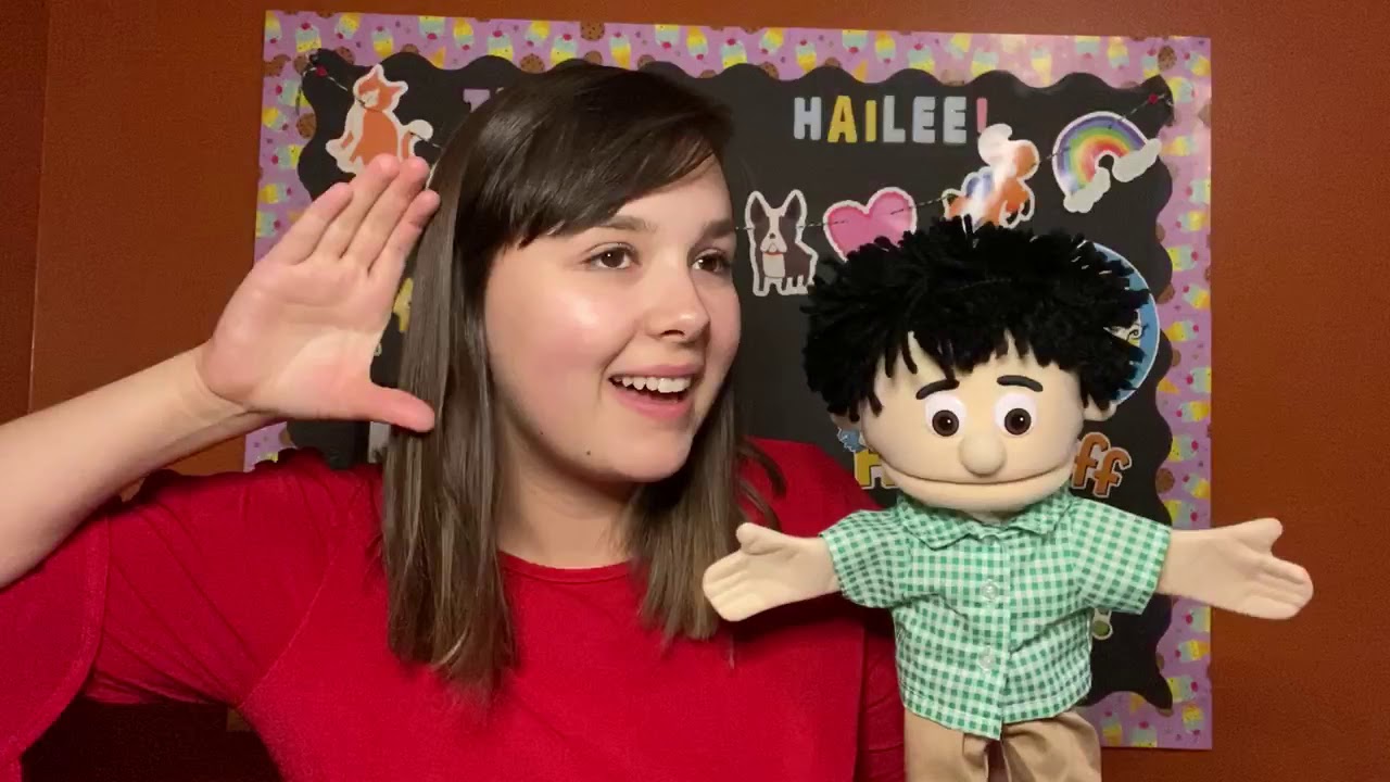 Zebra English Intro Video YouTube